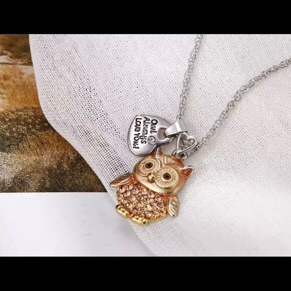 Owl Always Love You Necklace - Picture 3 of 3